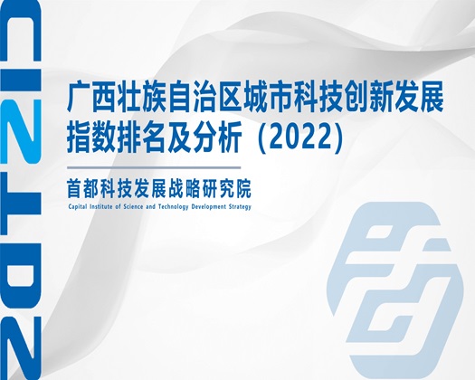 操死你个小骚逼大鸡巴操逼免费视频【成果发布】广西壮族自治区城市科技创新发展指数排名及分析（2022）